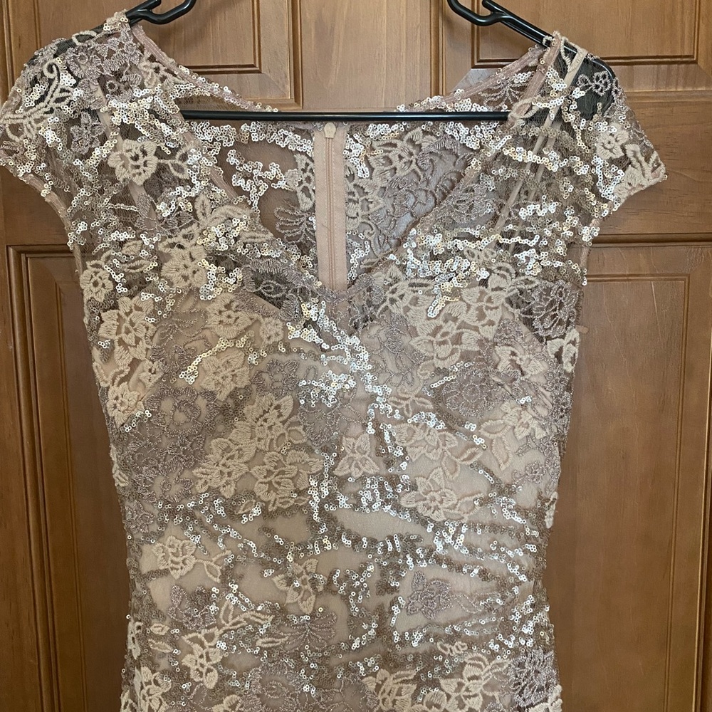 Alex evenings rose gold dress
